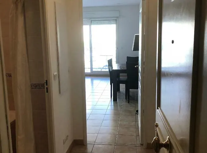 Monaco Sunshine Sea View Optional Parking Apartment